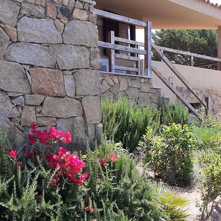 Villa Aloe 2 Коста-Парадисо Экстерьер фото